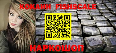 индика Ярославль