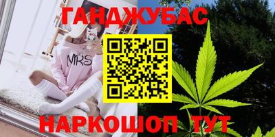 индика Ярославль