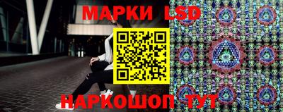 индика Ярославль