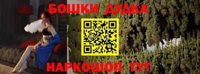 индика Ярославль