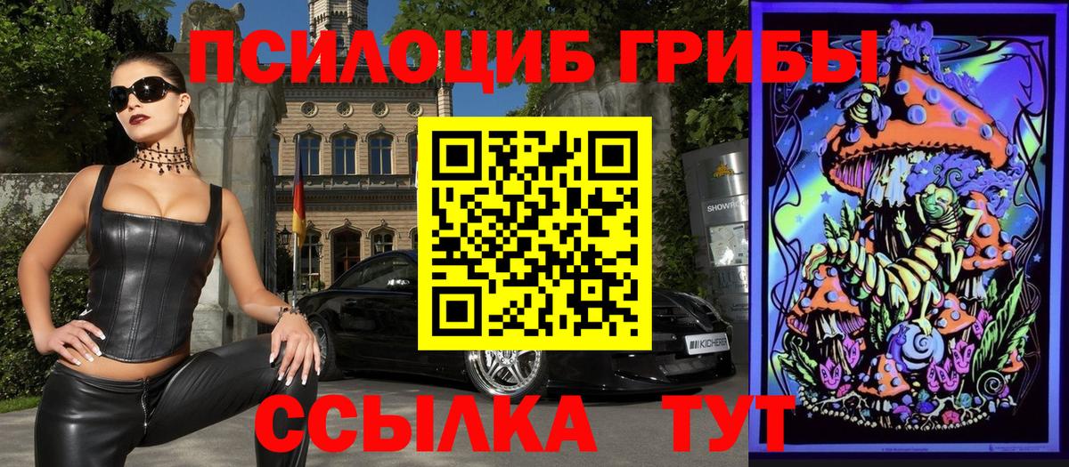 Галлюциногенные грибы Psilocybine cubensis Чехов