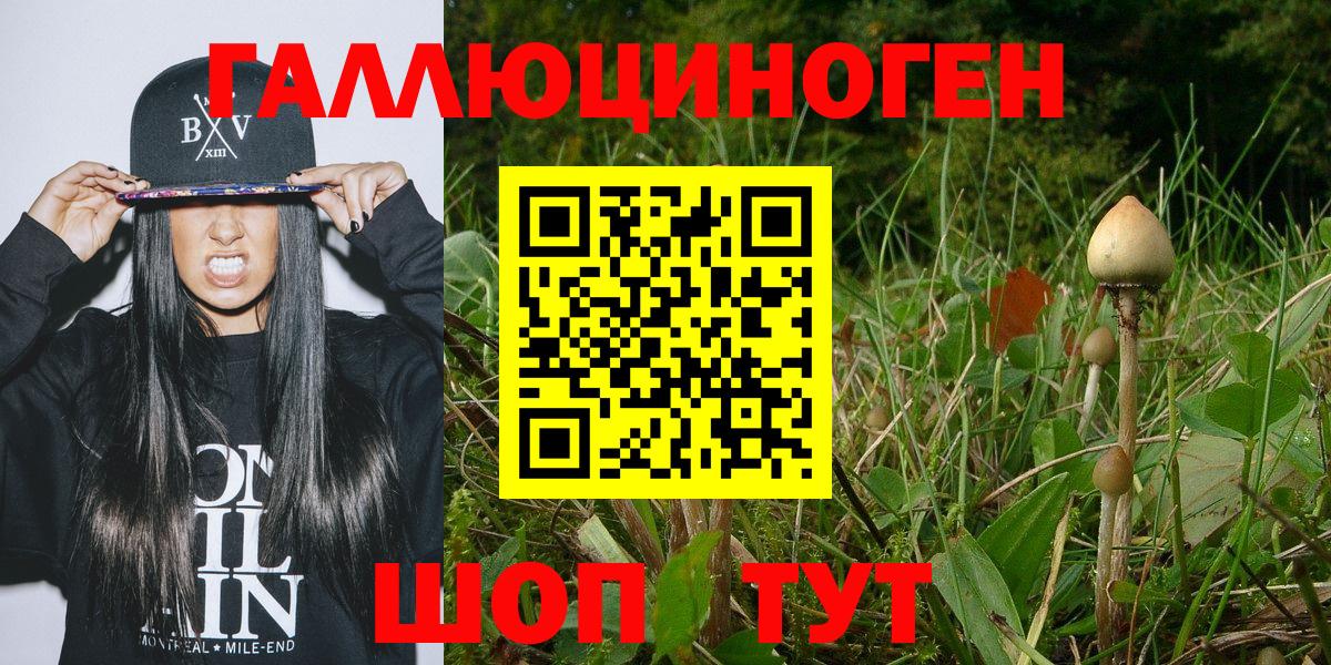 Чехов  Псилоцибиновые грибы Magic Shrooms  Вход с VPN 
